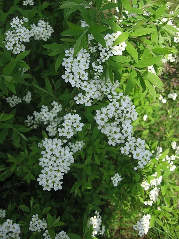 Dom restauracyjny U&nbsp;Wokulskiego